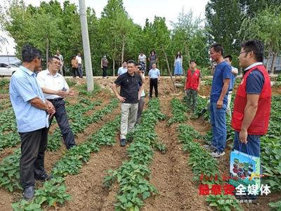 “農科先鋒”志愿服務,科技助力產業振興