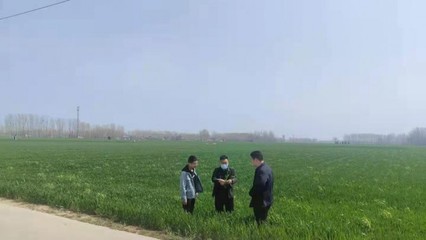 尉氏縣永興鎮(zhèn):“科技?jí)衙?rdquo;服務(wù)到田間地頭 保夏糧豐收