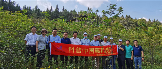 湖北省農(nóng)技協(xié)農(nóng)技專家技術(shù)服務走進山鄉(xiāng)
